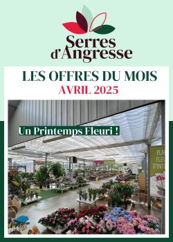 Gazette AVRIL 2025
