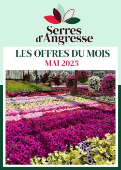 Gazette MAI 2025