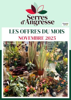 Gazette NOVEMBRE 2025